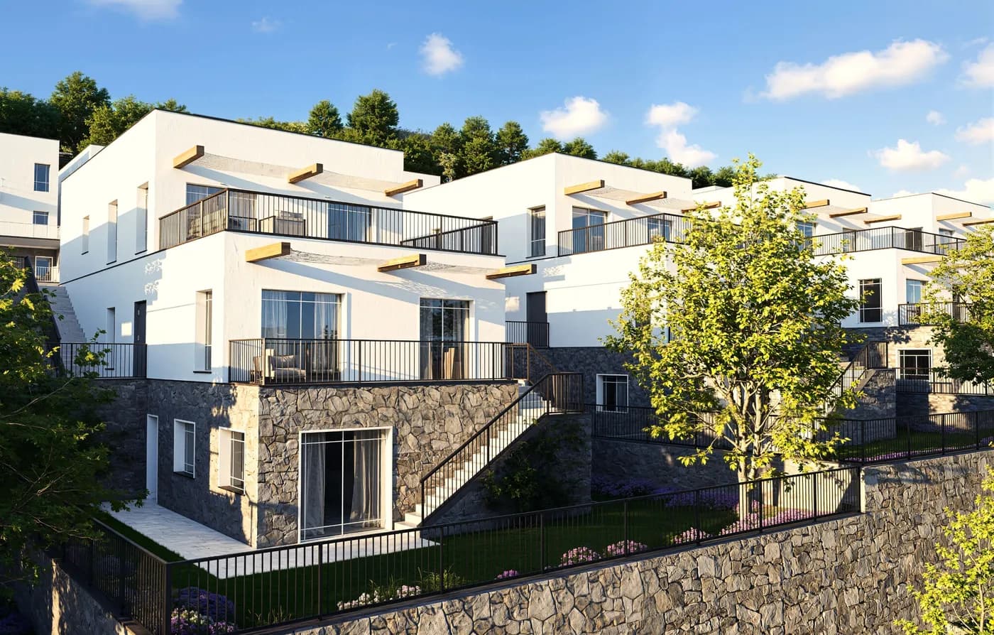 תמונת הדמיה ראשית