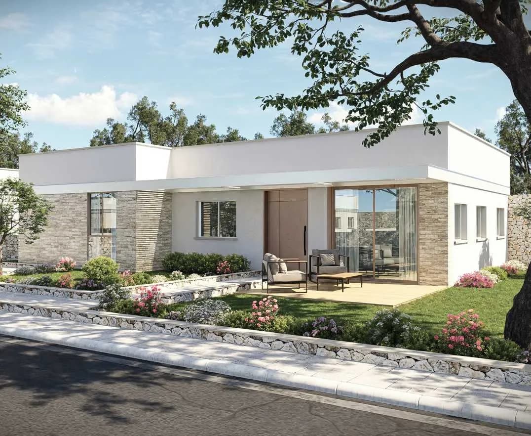 תמונת הדמיה שנייה