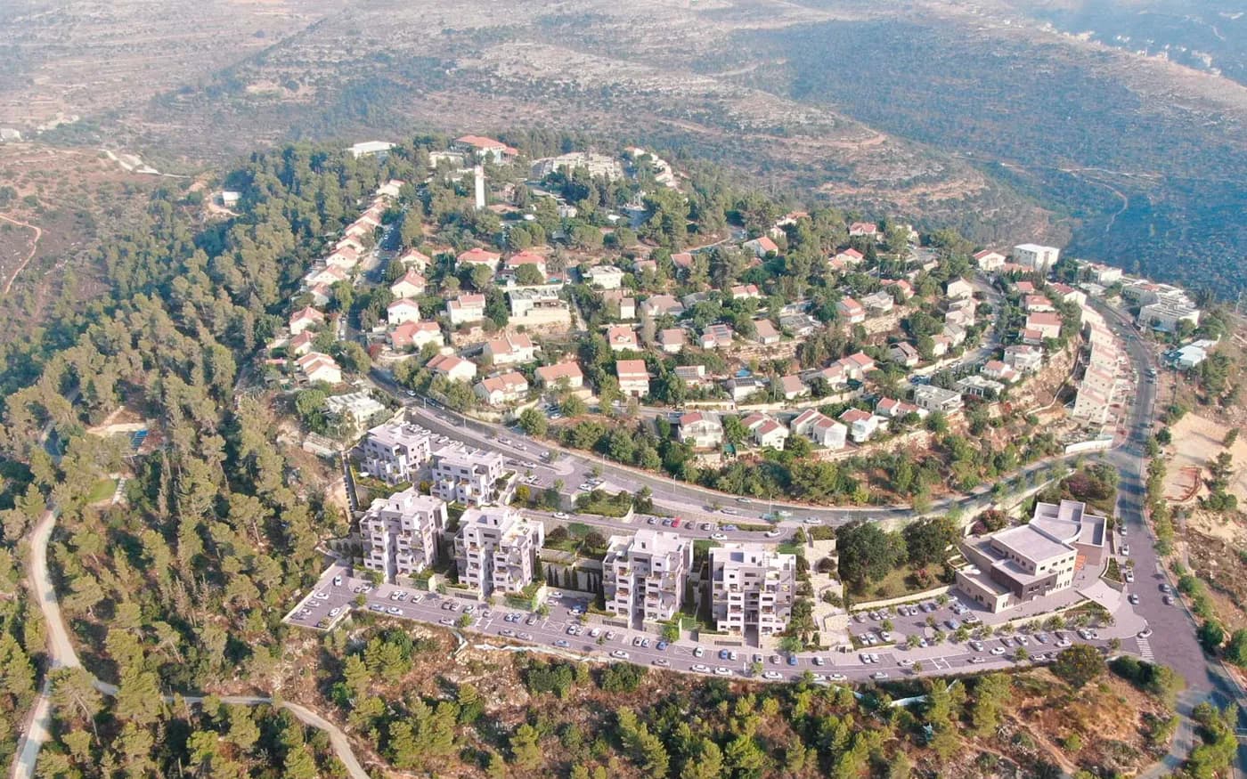 תמונת הדמיה שנייה