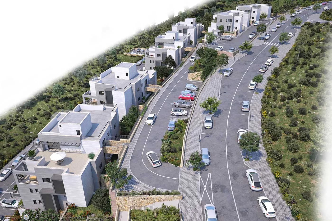 תמונה 7