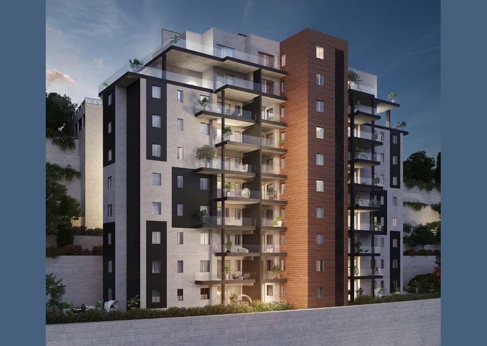 תמונת הדמיה ראשית