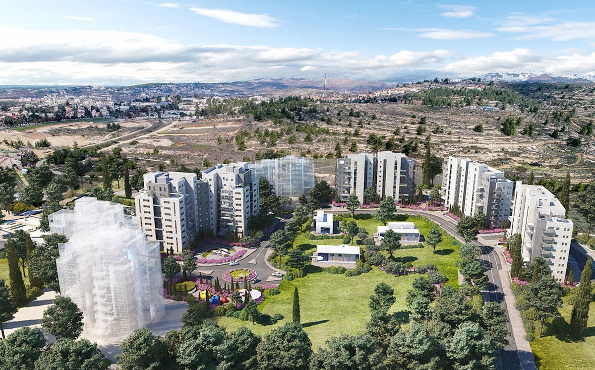 תמונת הדמיה ראשית