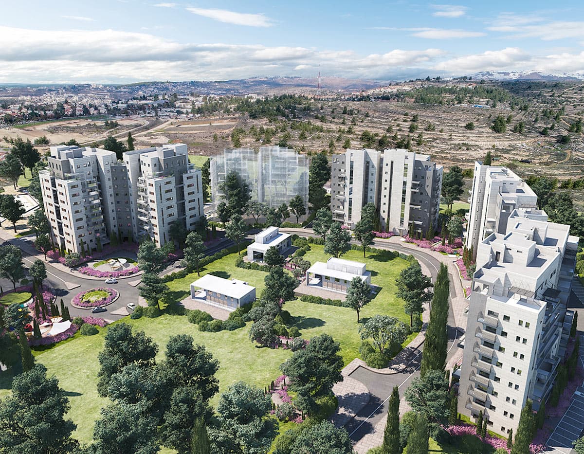 תמונת הדמיה שנייה