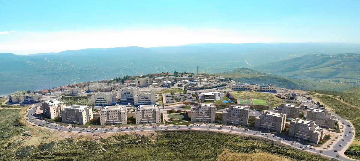 תמונת הדמיה ראשית