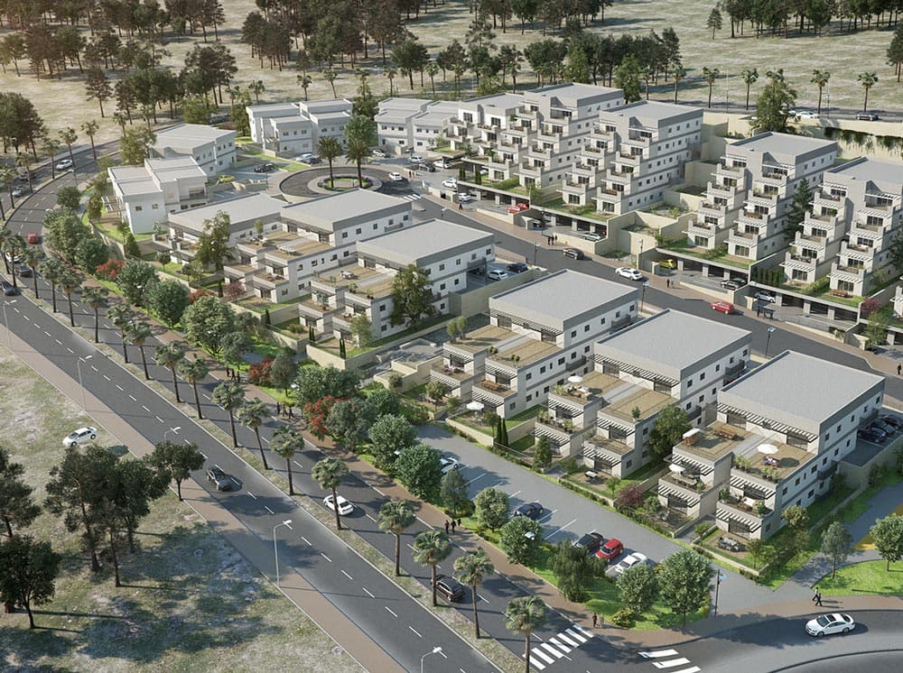 תמונת הדמיה ראשית