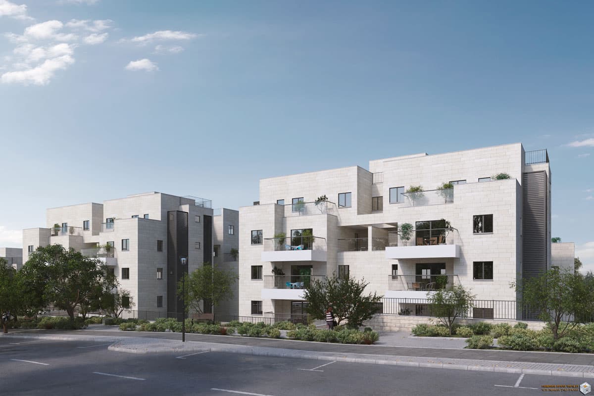 תמונת הדמיה שנייה