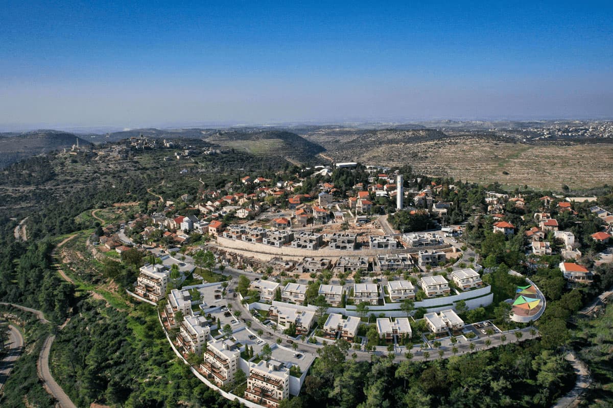 תמונת הדמיה ראשית