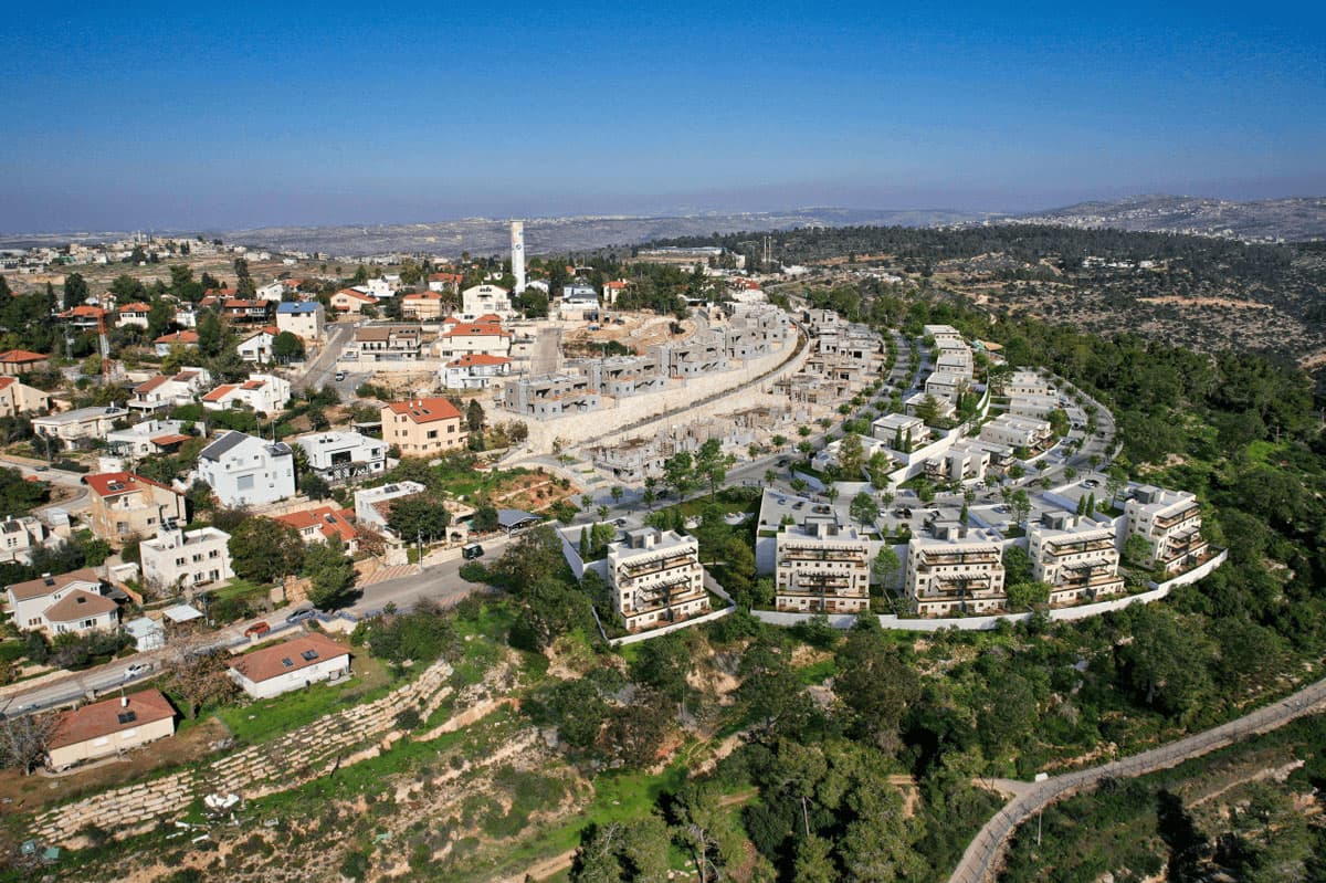 תמונת הדמיה שנייה