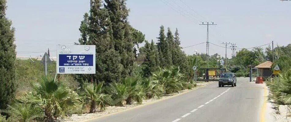 תמונת היישוב שקד