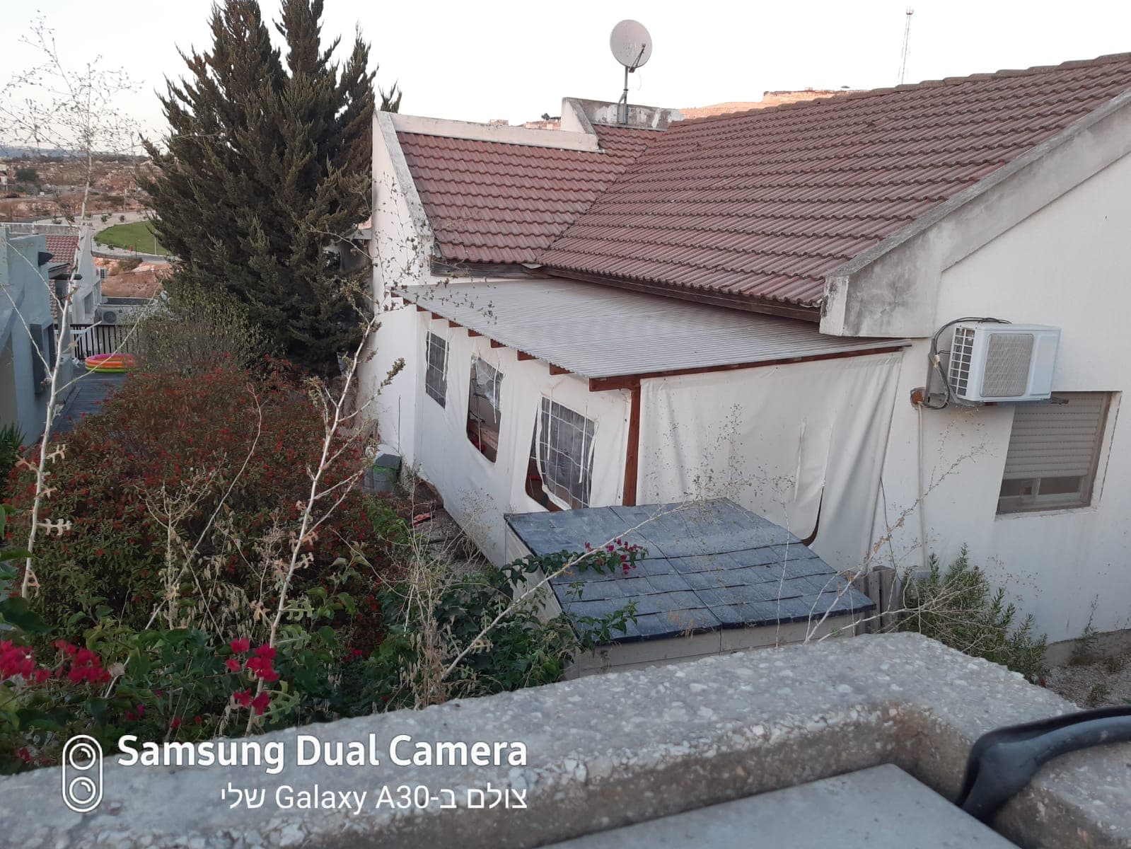 תמונת הדמיה שלישית