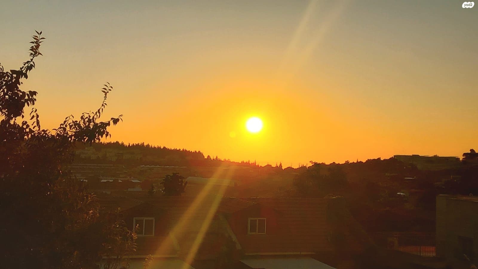 תמונת הדמיה שנייה