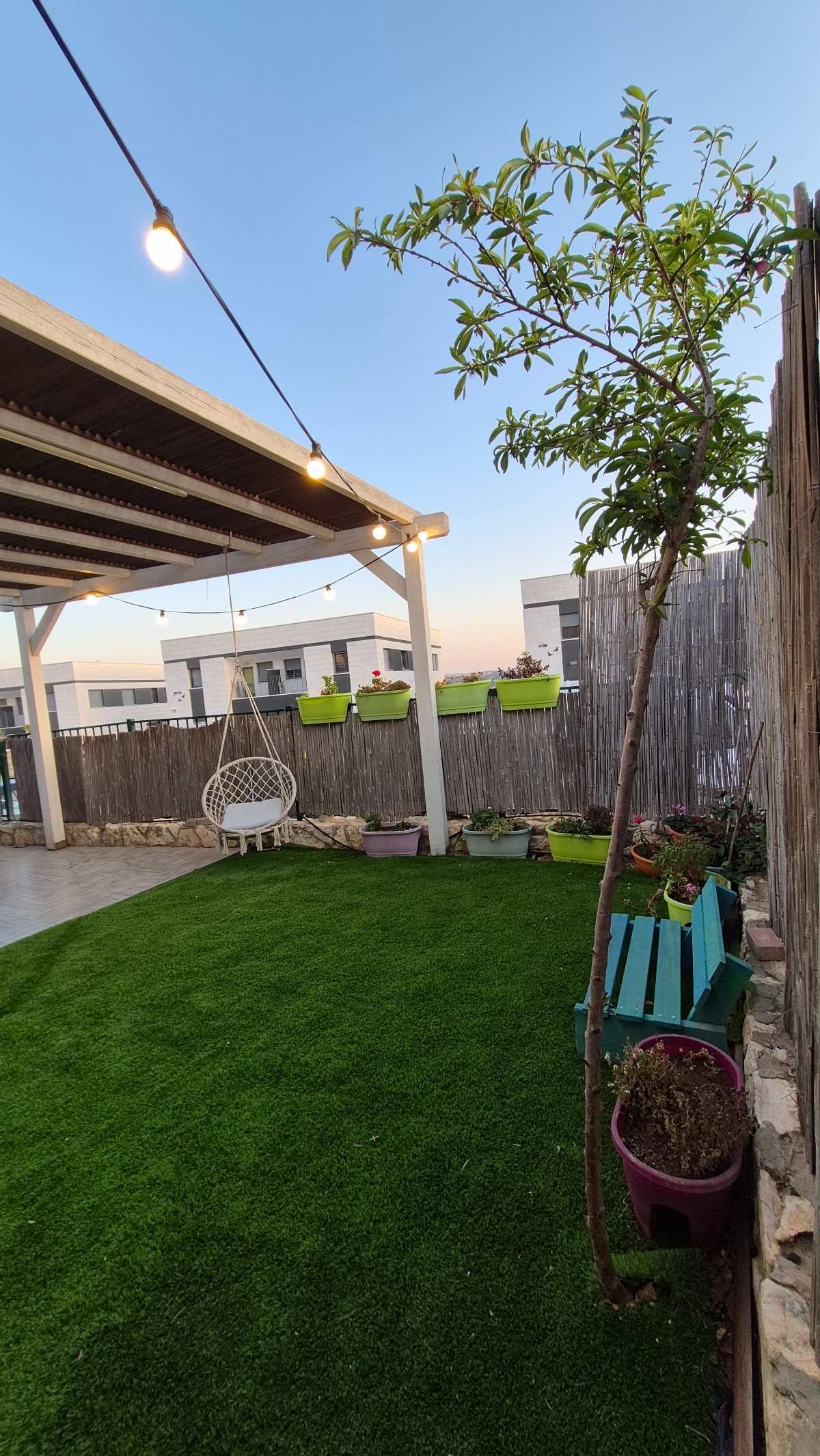 תמונת הדמיה שנייה