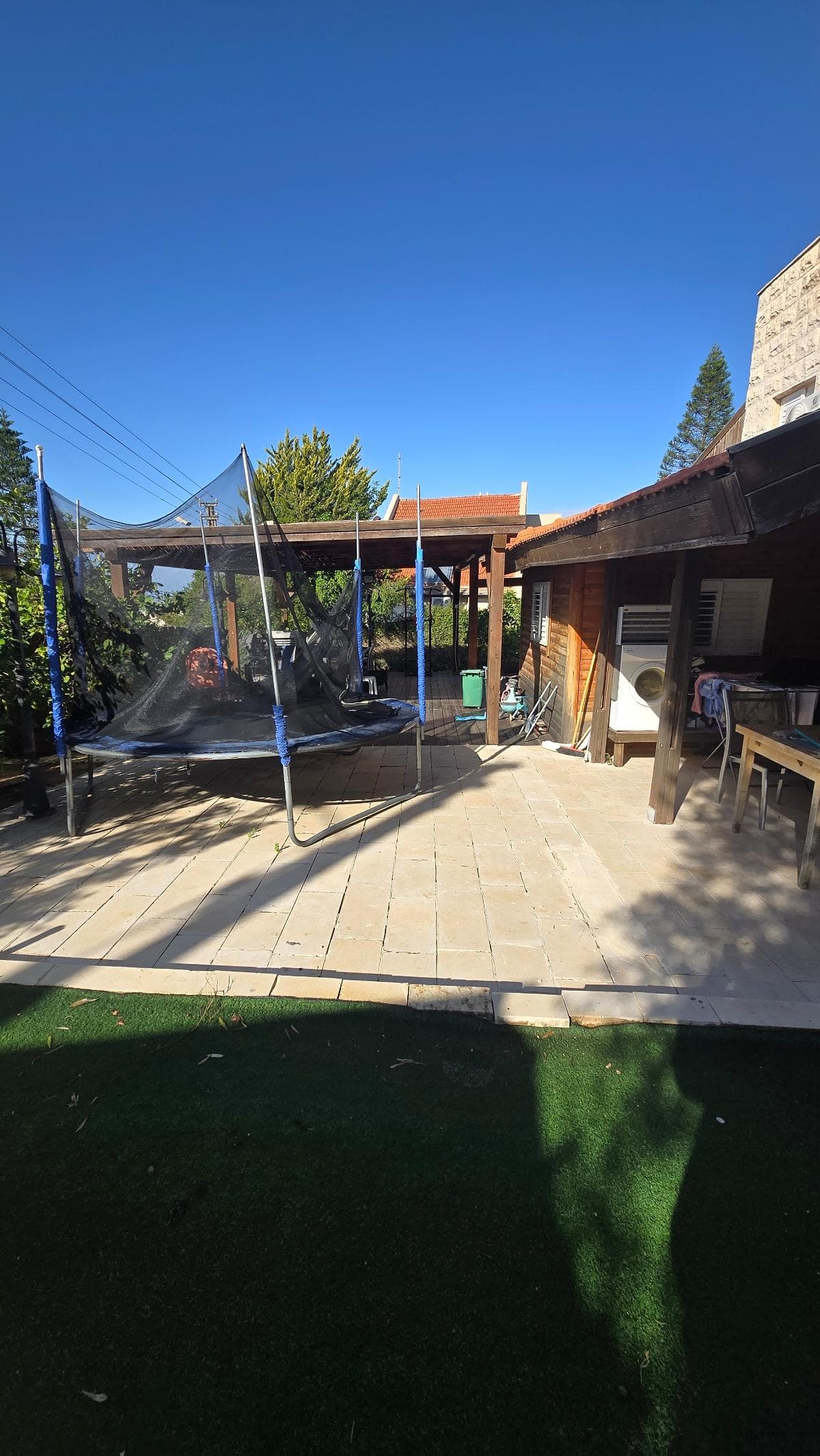 תמונת הדמיה שנייה