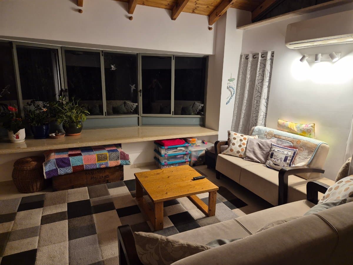 תמונת הדמיה ראשית