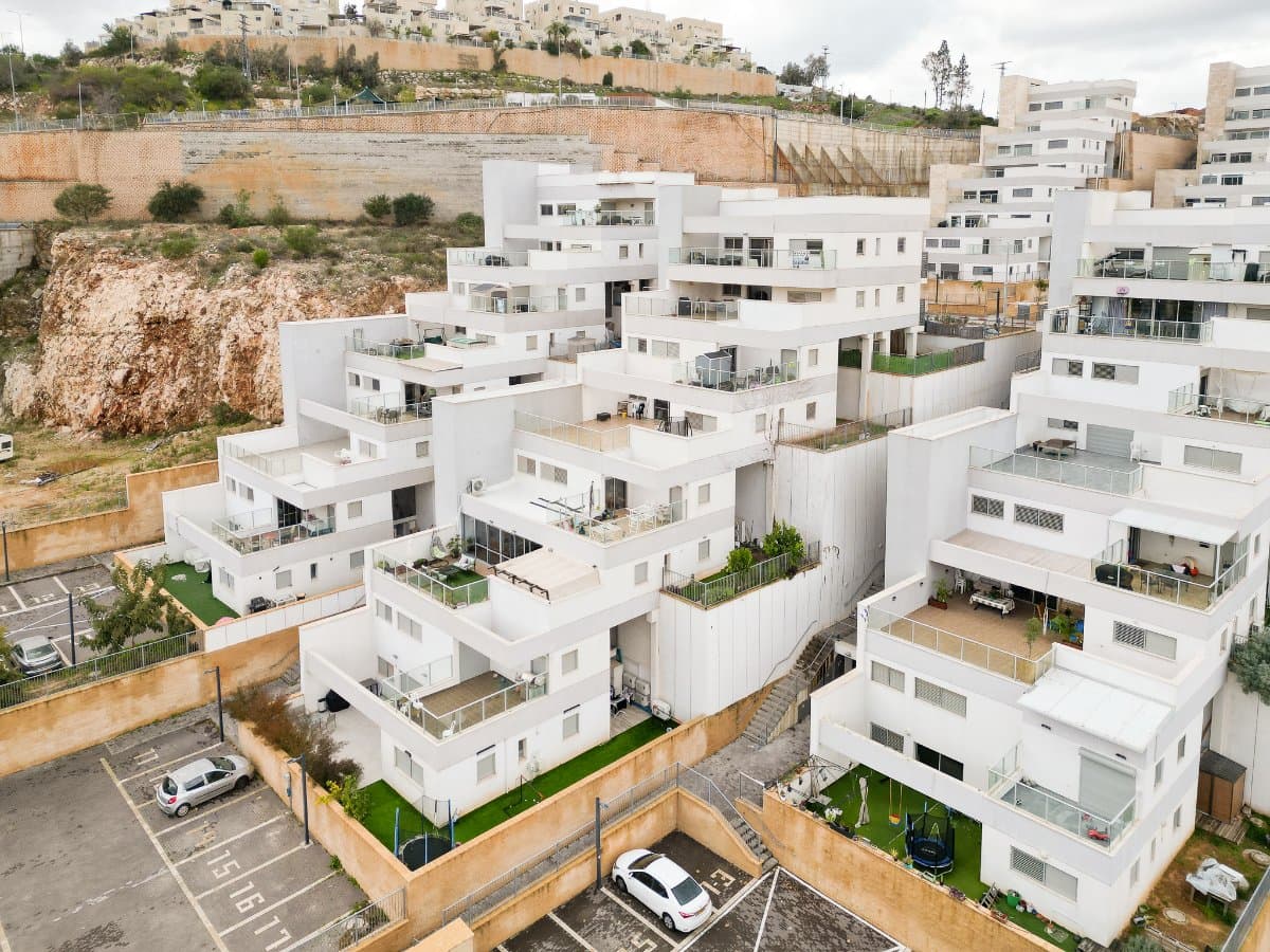 תמונת הדמיה ראשית