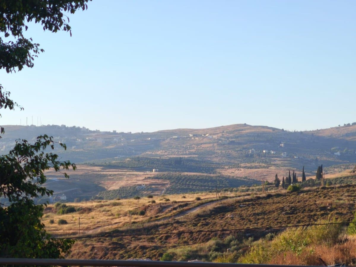 תמונת הדמיה שלישית