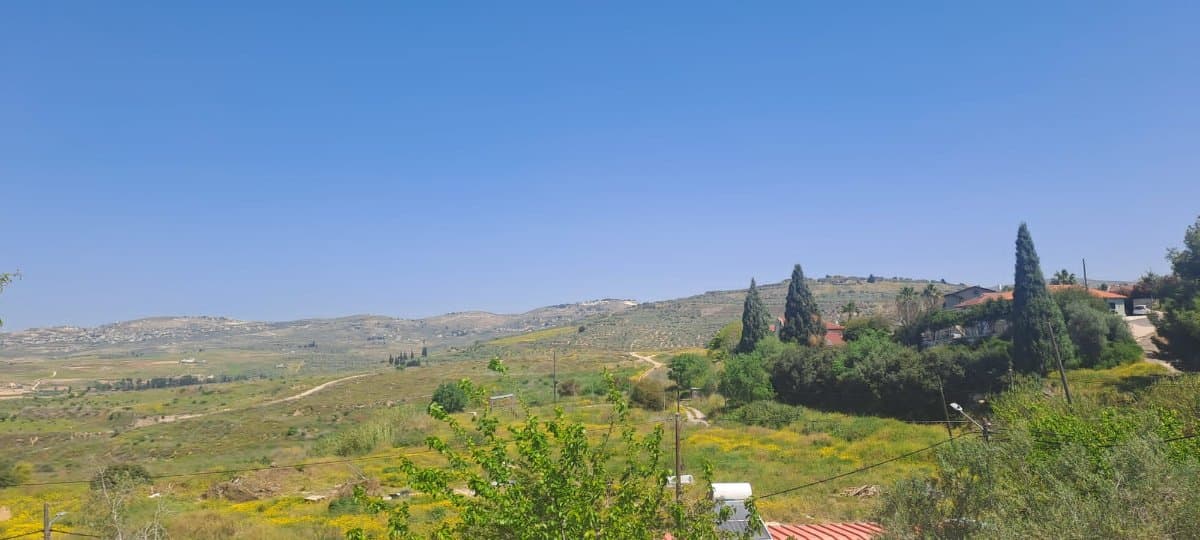 תמונת הדמיה שנייה