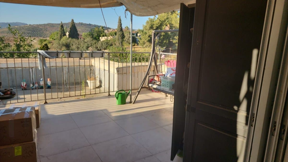 תמונת הדמיה שלישית