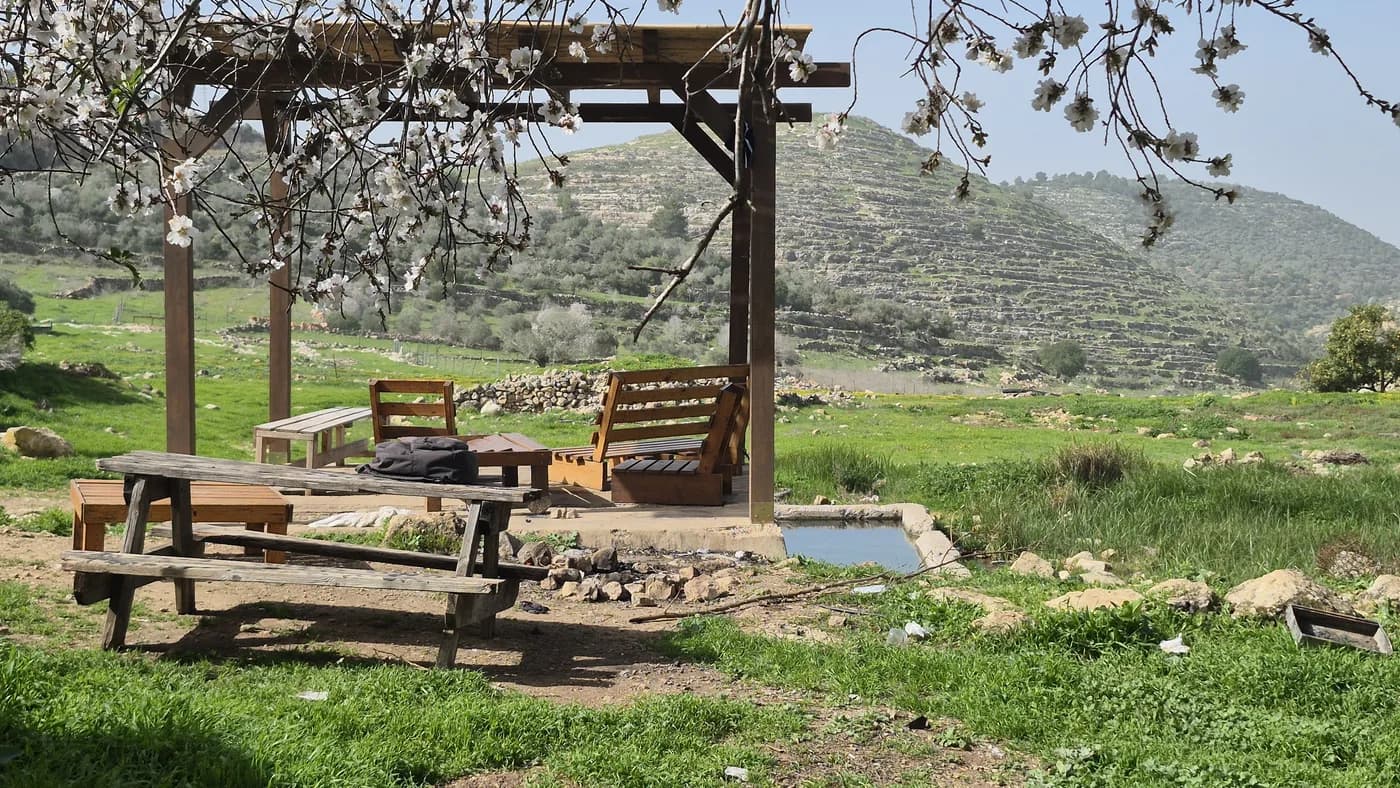 מעיין בסמוך ליישוב נווה צוף. צילום: לגור ביו"ש