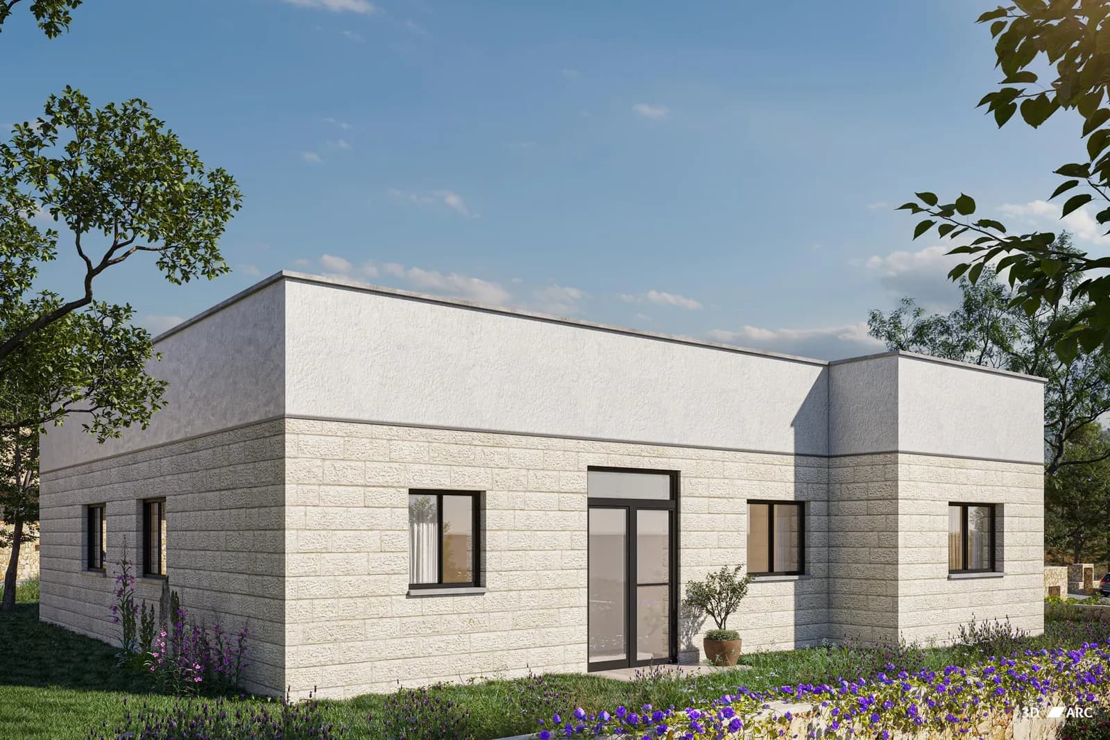 תמונת הדמיה שנייה