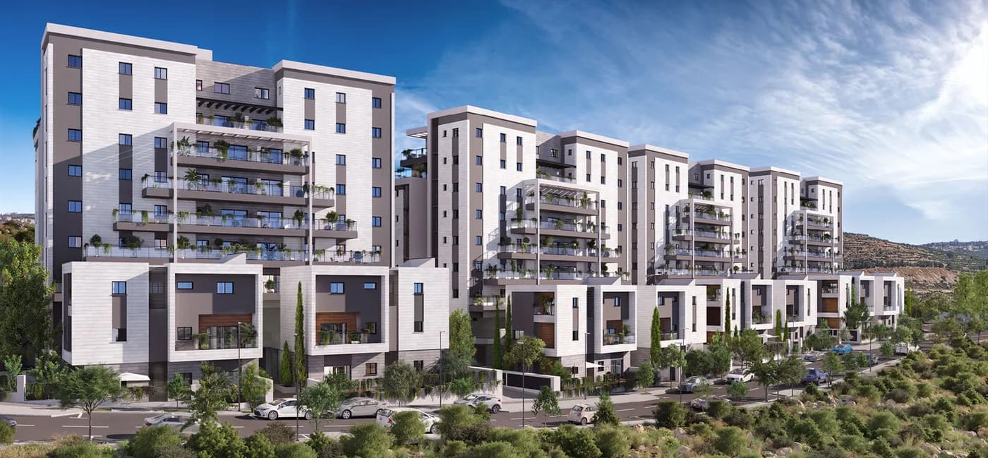 תמונת הדמיה ראשית