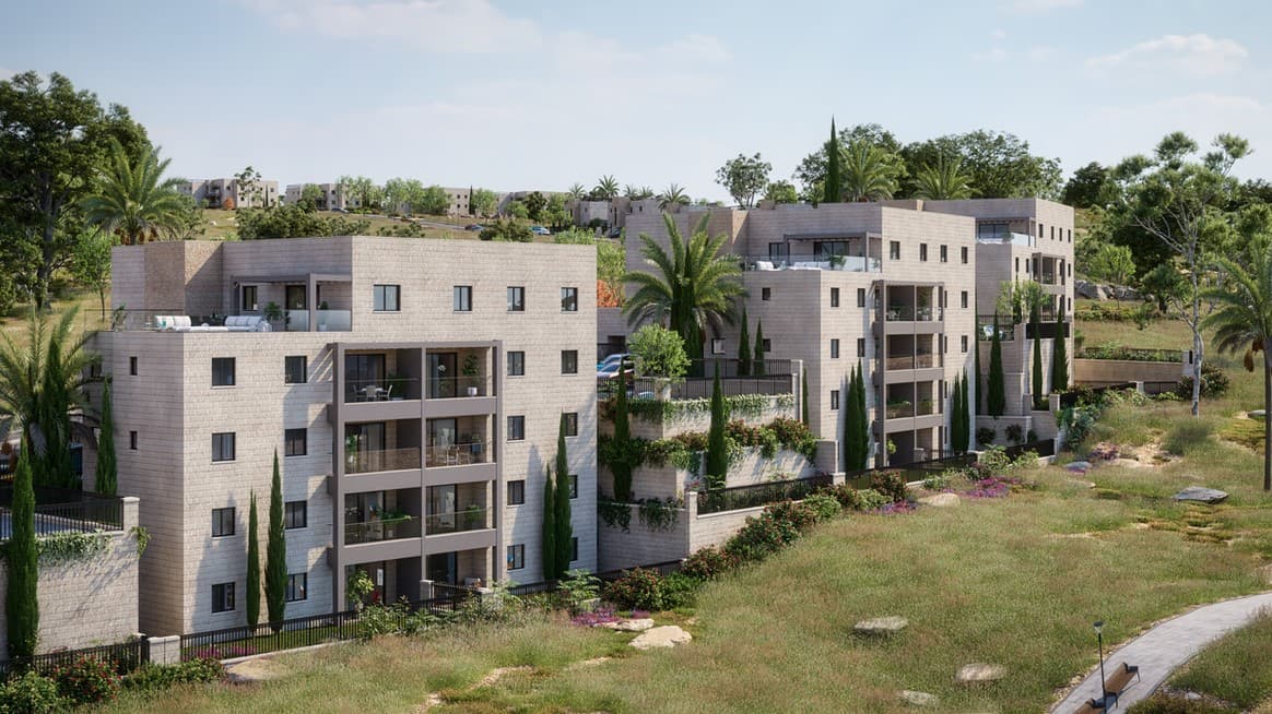 תמונת הדמיה ראשית