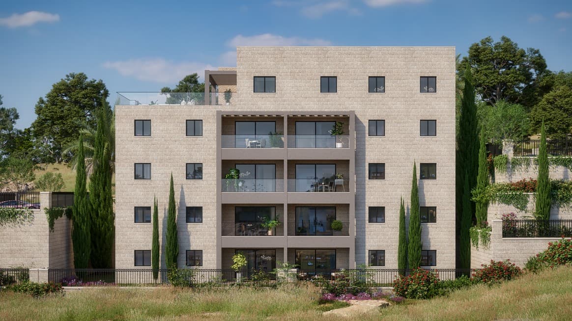 תמונת הדמיה שנייה