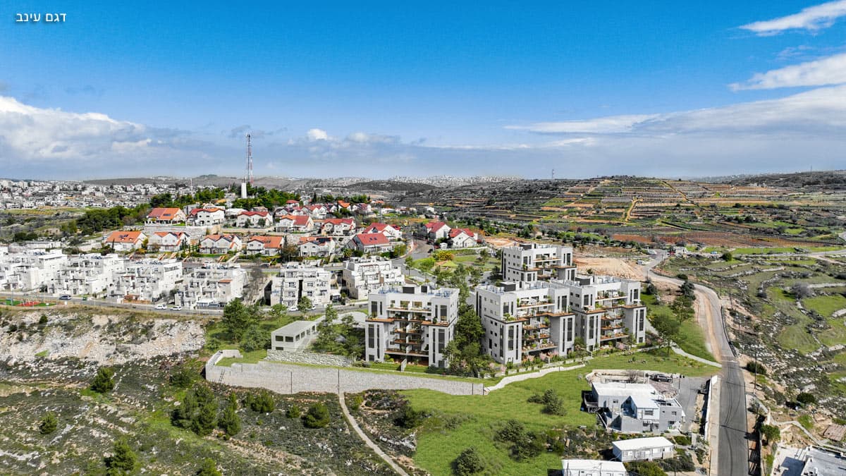 תמונת הדמיה שלישית