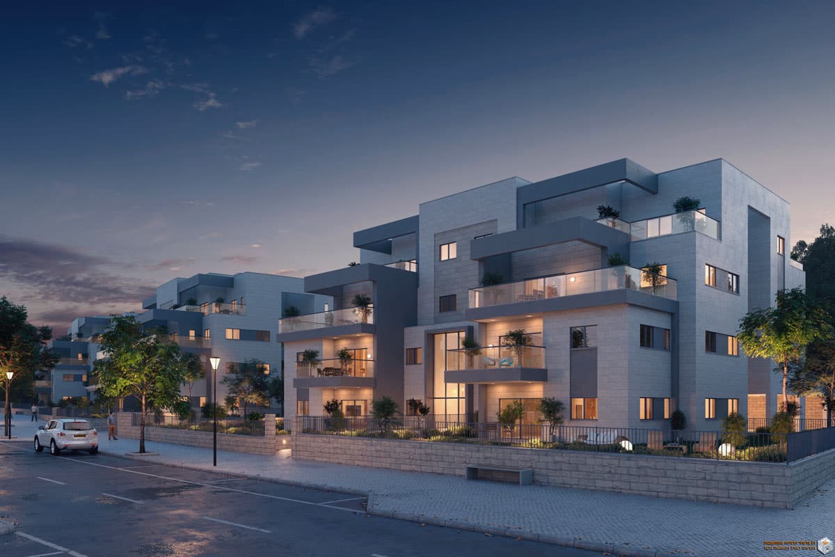 תמונת הדמיה שנייה