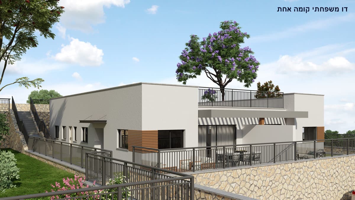 תמונת הדמיה שנייה