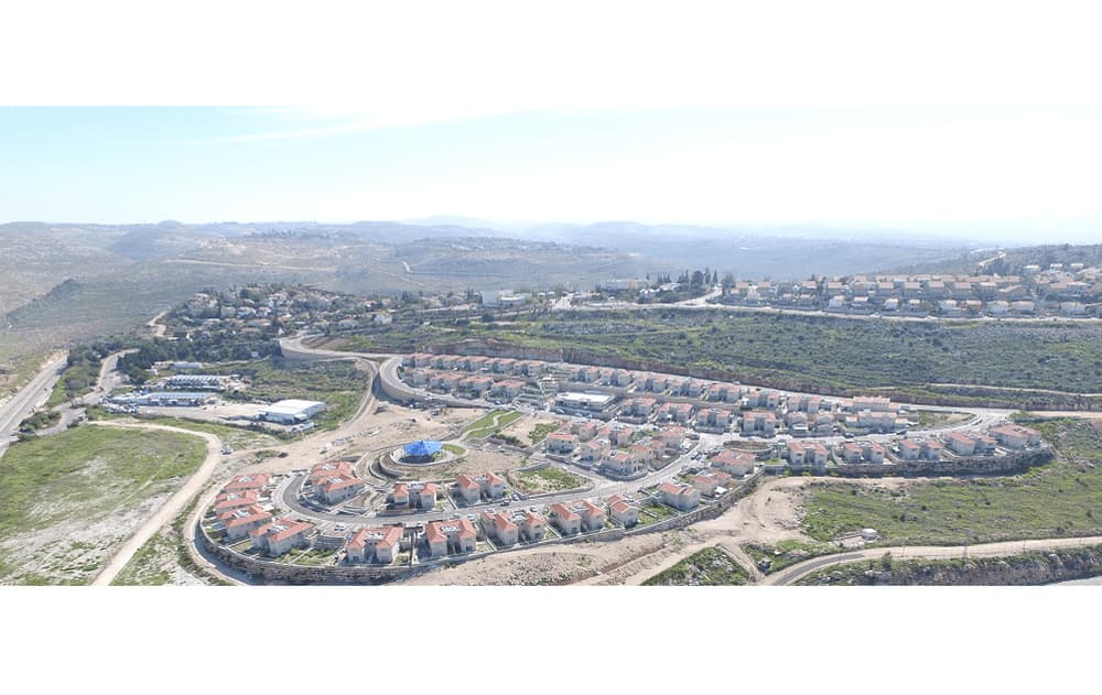 תמונת הדמיה ראשית