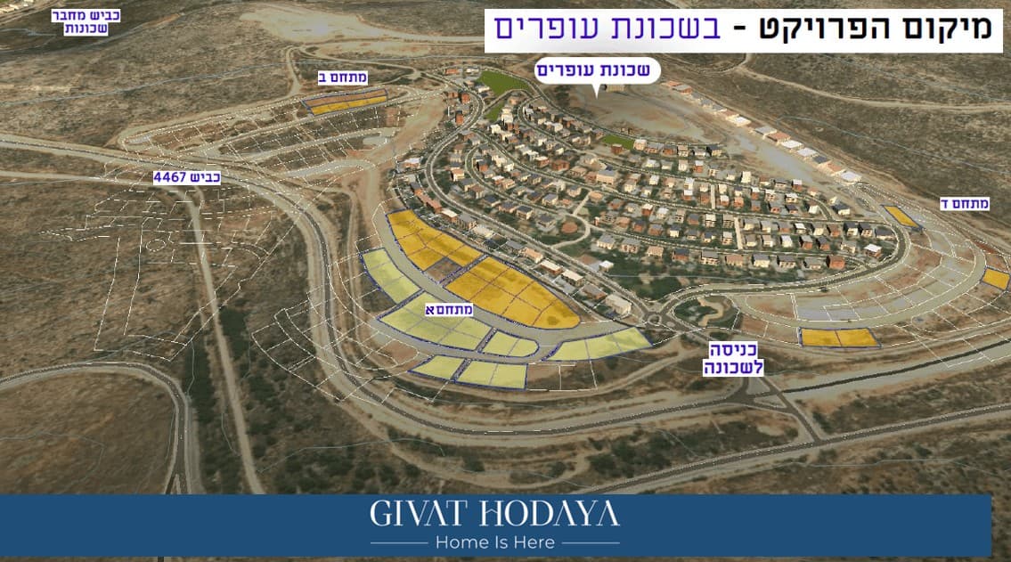 תמונה ראשית