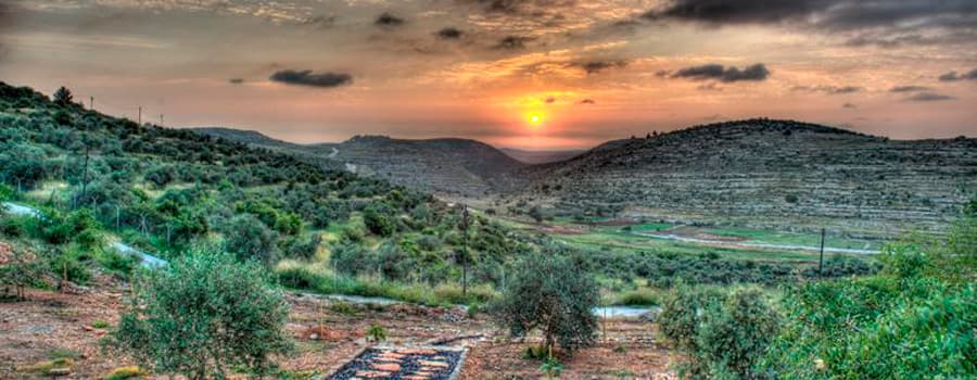 תמונת היישוב נוה צוף-חלמיש